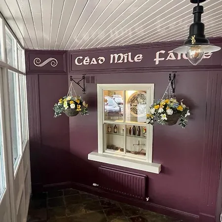 Peacockes Hotel 3*